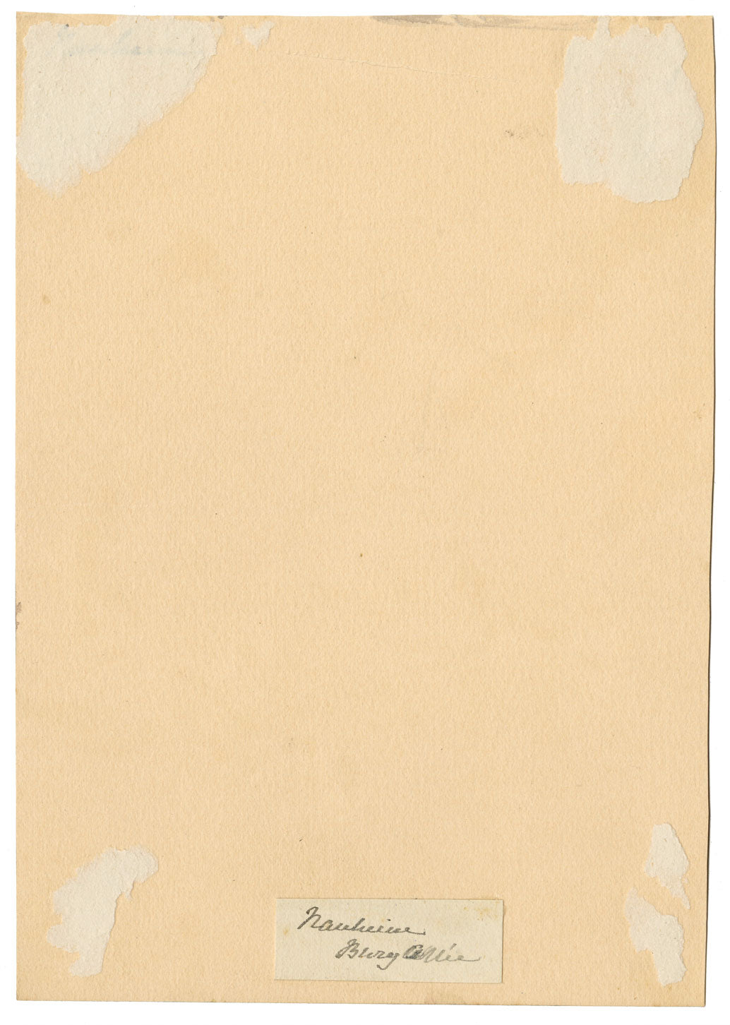 CJ Newcome, Giardini, Burgallee, Bad Nauheim, Assia, Germania – acquerello del 1899