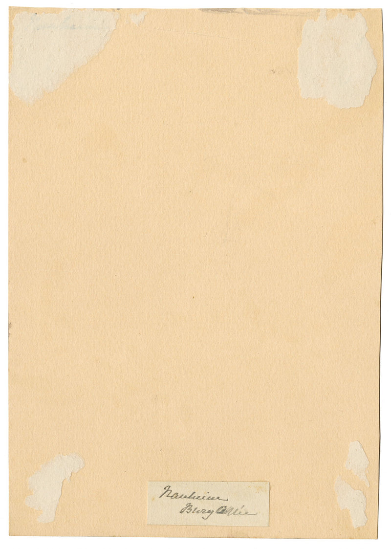 CJ Newcome, Giardini, Burgallee, Bad Nauheim, Assia, Germania – acquerello del 1899