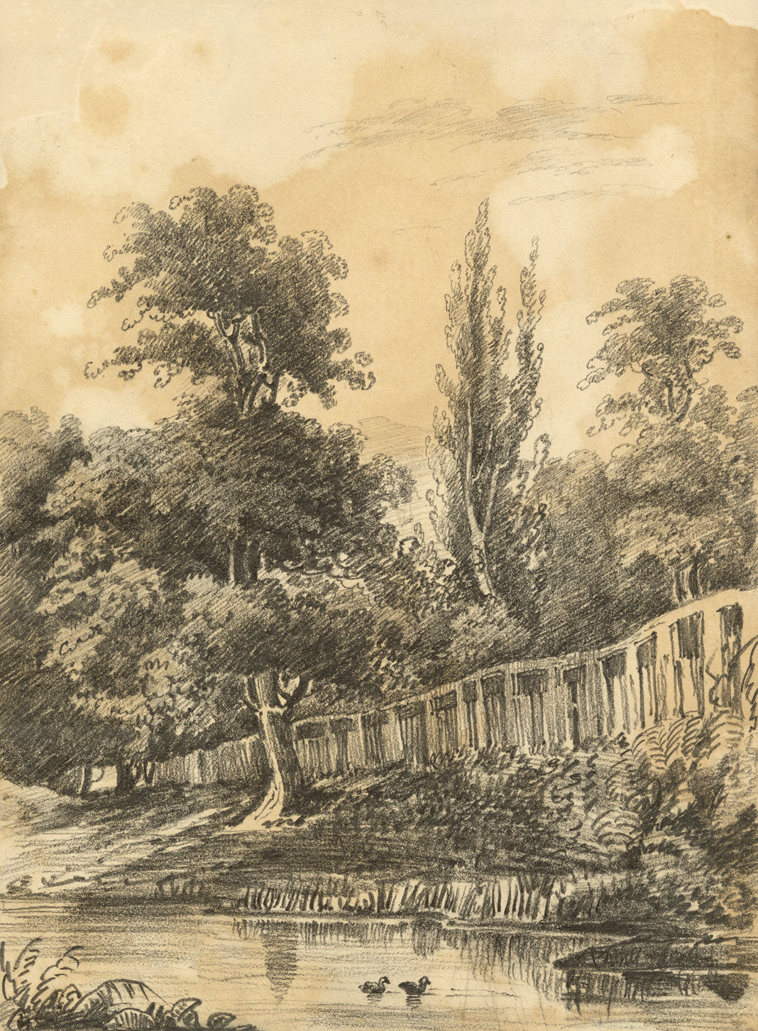 Henry William Burgess, Riverbank Tree Study – Original c.1829 graphite drawing