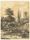 Henry William Burgess, Studio di un albero sulla riva del fiume – Disegno originale a grafite del 1829 circa