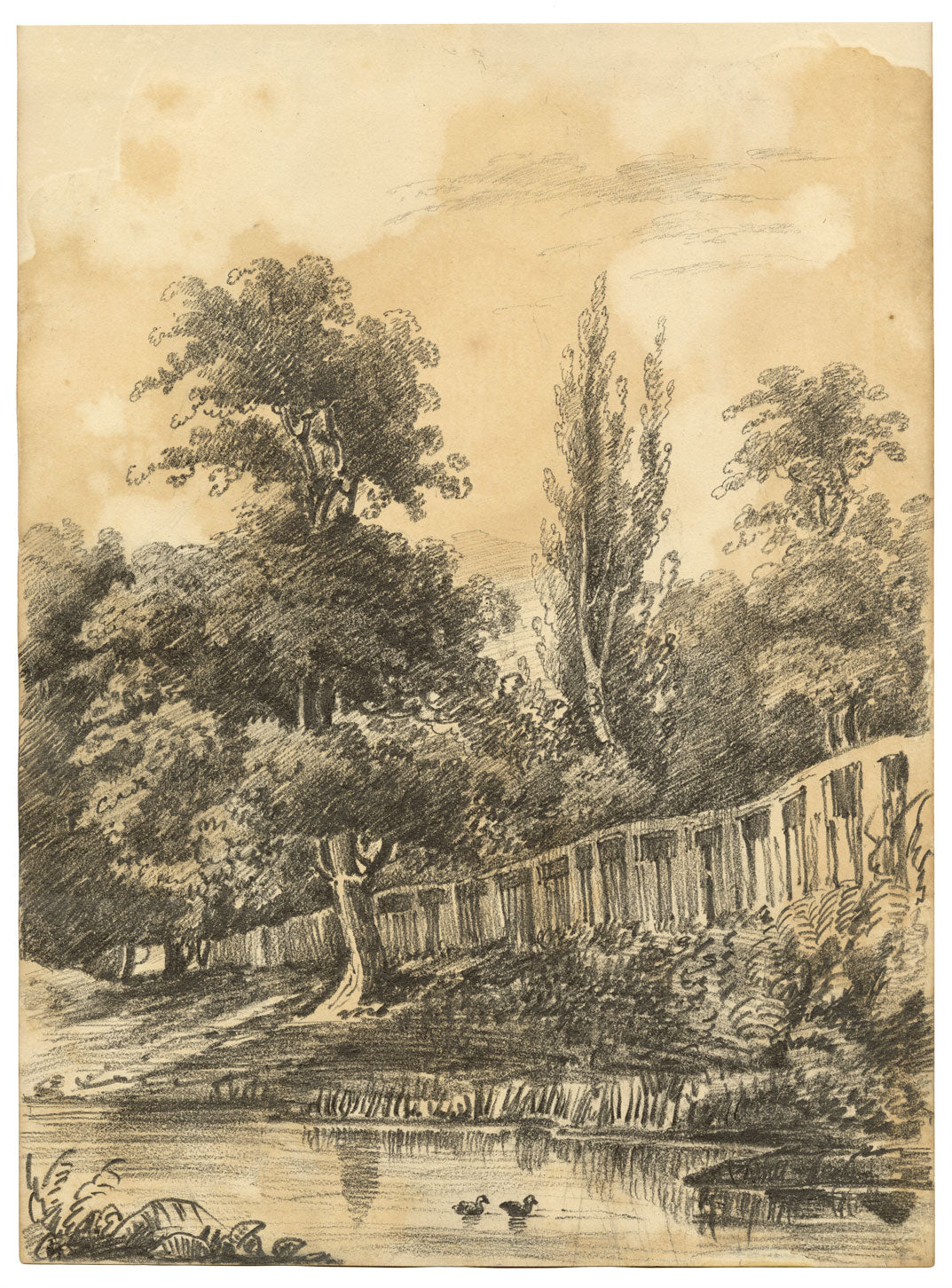 Henry William Burgess, Studio di un albero sulla riva del fiume – Disegno originale a grafite del 1829 circa