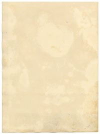 Henry William Burgess, Studio di un albero sulla riva del fiume – Disegno originale a grafite del 1829 circa