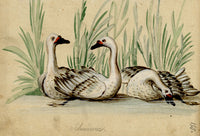 Leopold Billek, Swans (Schwänne) – Original c.1820 gouache painting