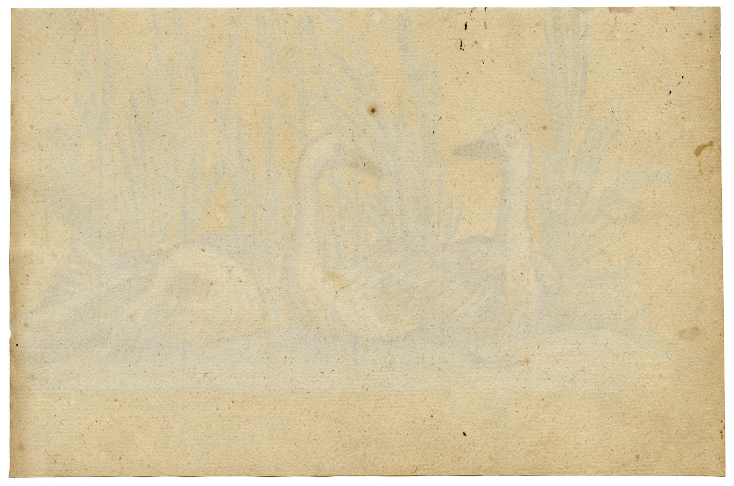 Leopold Billek, Swans (Schwänne) – Original c.1820 gouache painting