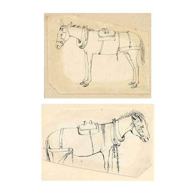 McClinnie, Horse in Harness, A Pair of Studies – 19th-century pen & ink drawings