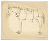 McClinnie, Caballo enjaezado, un par de estudios – Dibujos a pluma y tinta del siglo XIX