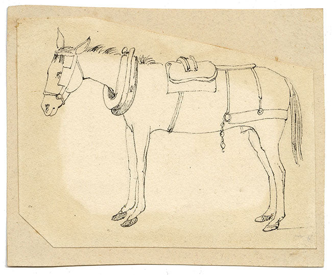 McClinnie, Caballo enjaezado, un par de estudios – Dibujos a pluma y tinta del siglo XIX
