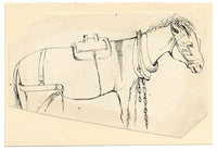 McClinnie, Caballo enjaezado, un par de estudios – Dibujos a pluma y tinta del siglo XIX