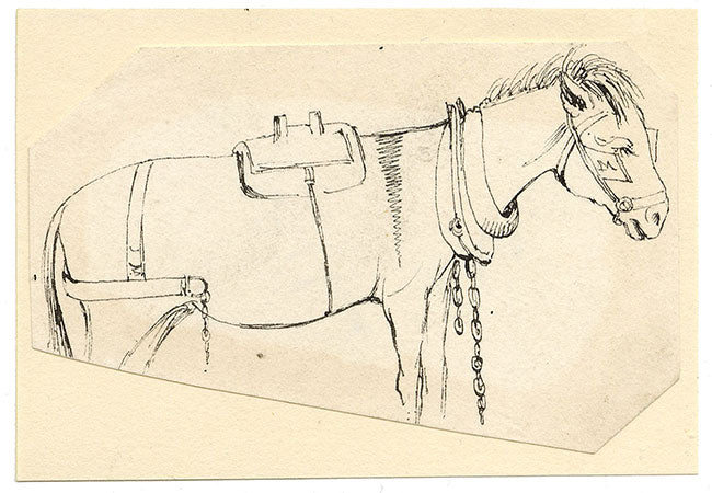 McClinnie, Caballo enjaezado, un par de estudios – Dibujos a pluma y tinta del siglo XIX