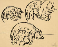 Austin Taylor, Cat with Kittens – Original 1952 pen & ink drawing