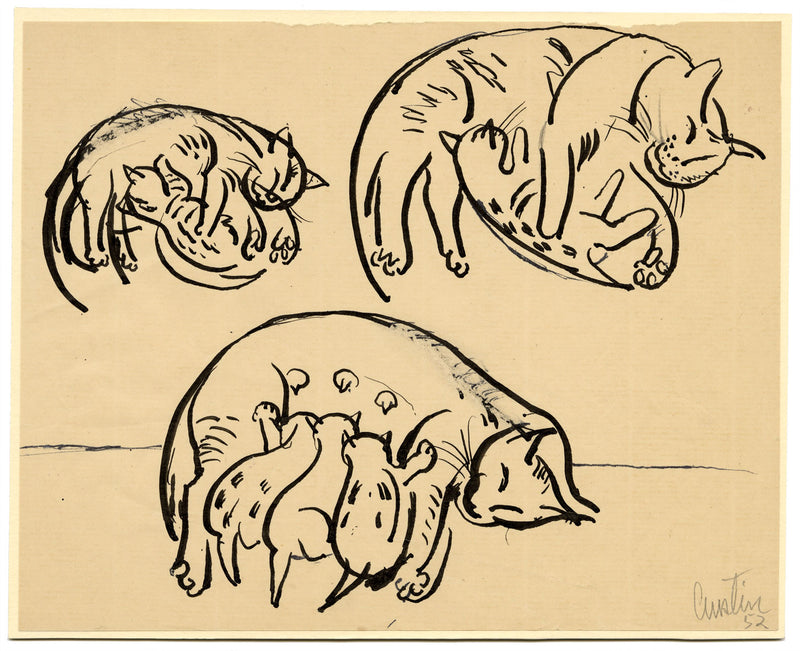 Austin Taylor, Cat with Kittens – Original 1952 pen & ink drawing