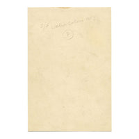 Pink Chinese Foxglove Flower (Rehmannia Glutinosa) – 1853 watercolour painting