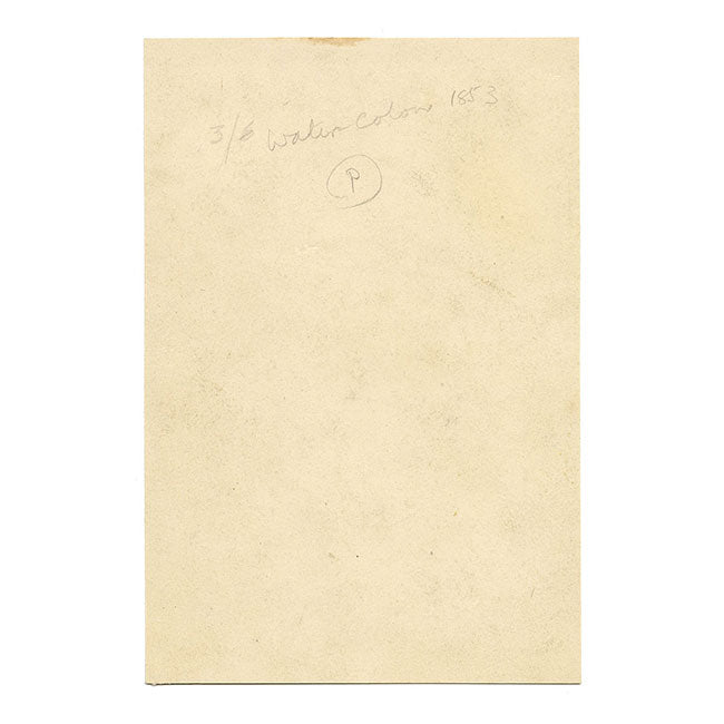 Pink Chinese Foxglove Flower (Rehmannia Glutinosa) – 1853 watercolour painting