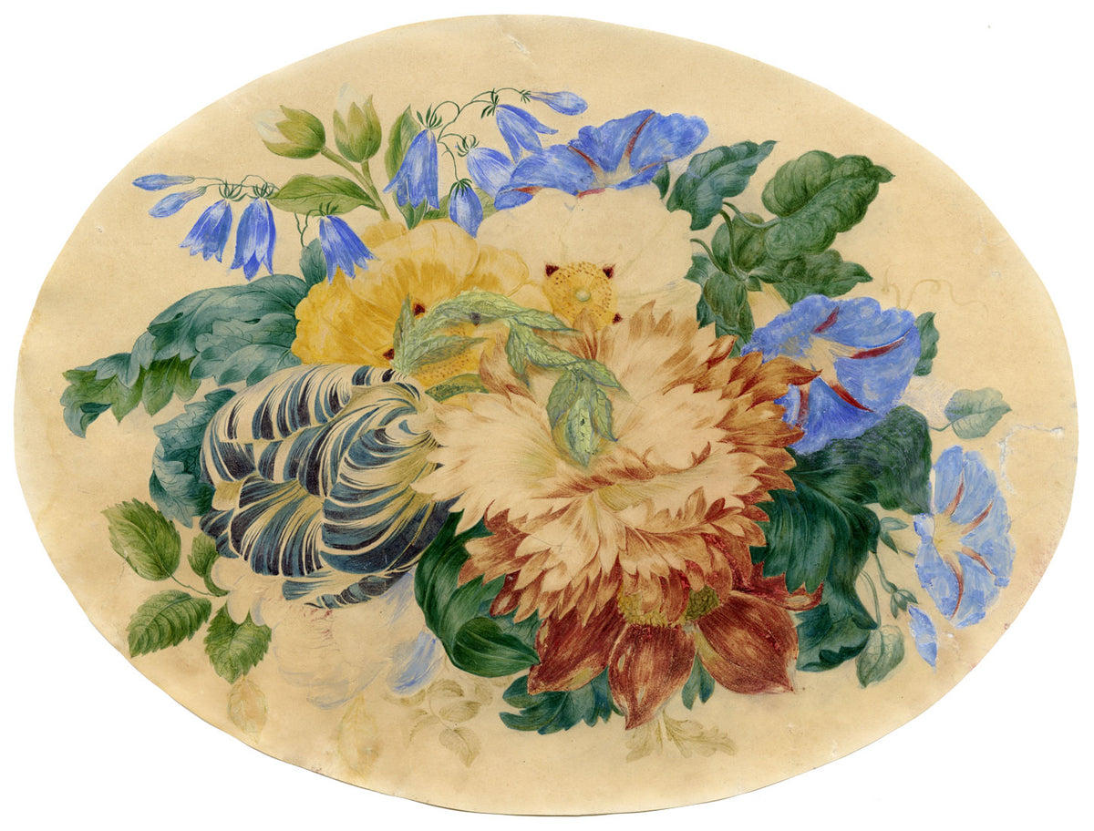 Attrib. William 'Quaker' Pegg, Tulip & Morning Glory – mid-C19th watercolour