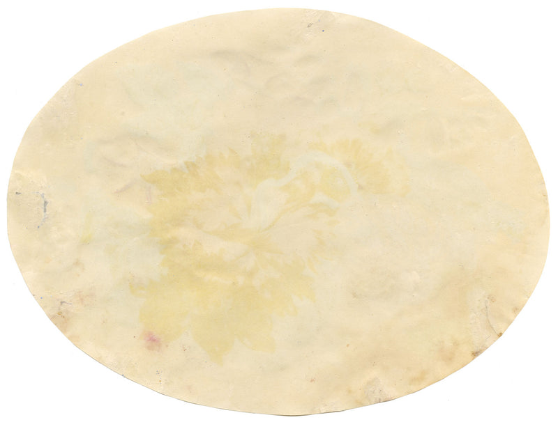 Atribuido a William «Quaker» Pegg, Tulipán y campanilla – acuarela de mediados del siglo XIX