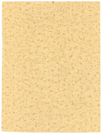 Prakash Hari Sonawane, Portrait of Charan Singh – contemporary charcoal drawing