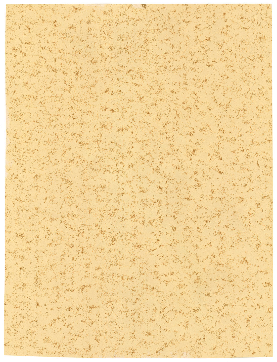 Prakash Hari Sonawane, Portrait of Charan Singh – contemporary charcoal drawing