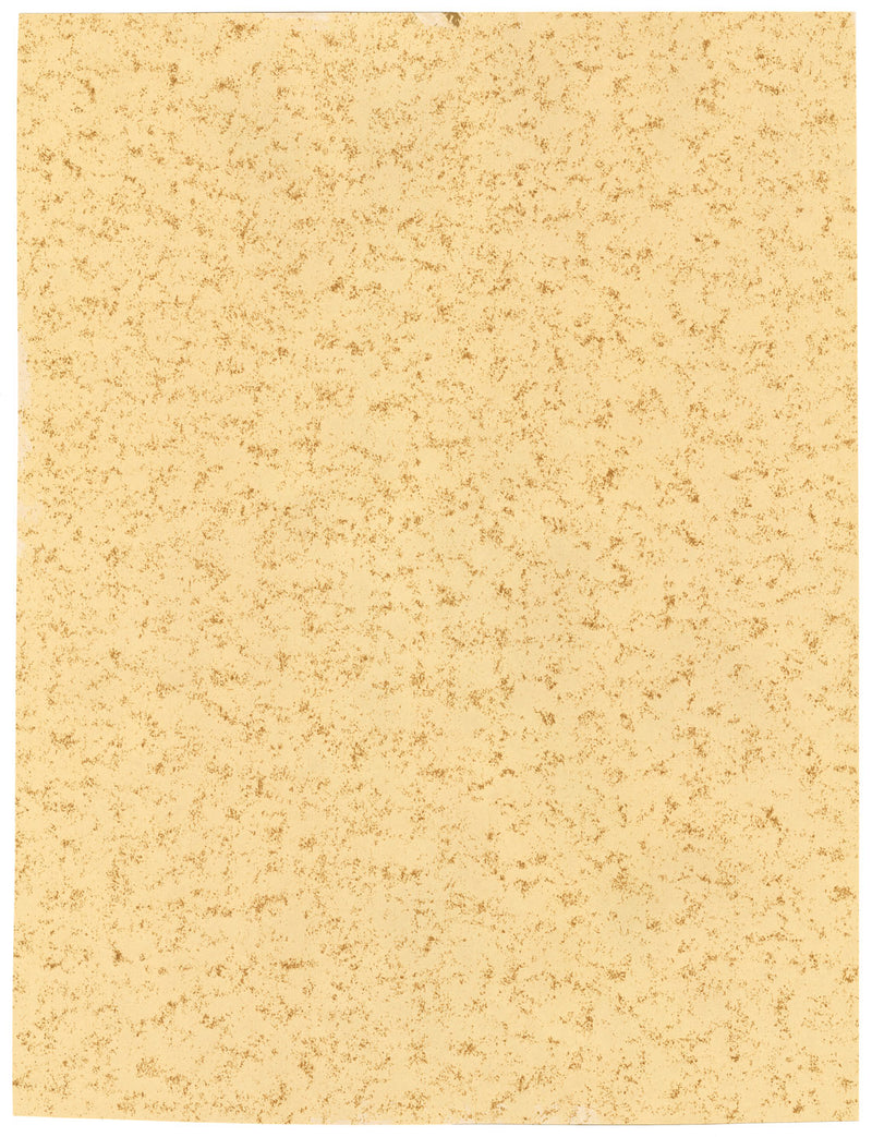 Prakash Hari Sonawane, Portrait of Charan Singh – contemporary charcoal drawing