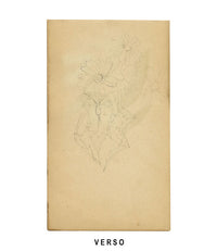 Campanula alpina gialla, St. Moritz, Svizzera – dipinto ad acquerello del 1880 circa