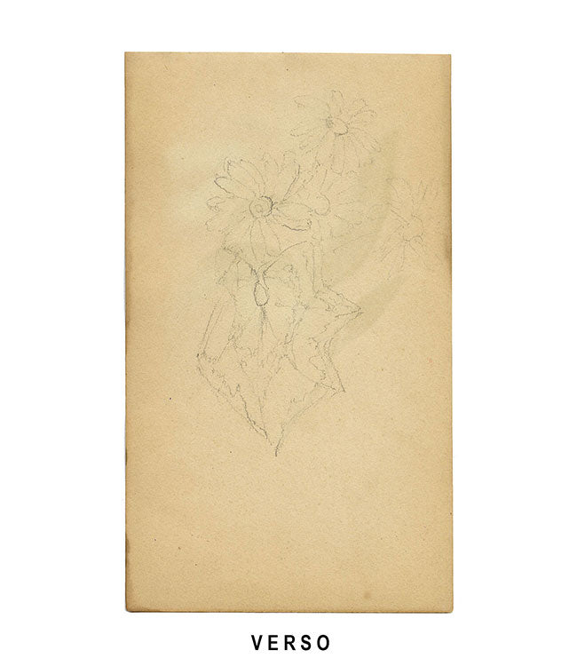 Campanula alpina gialla, St. Moritz, Svizzera – dipinto ad acquerello del 1880 circa