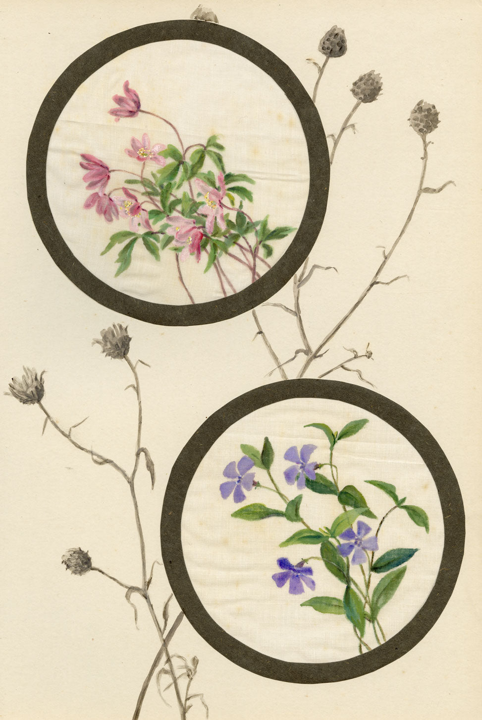 Common Centaury & Periwinkle Flower – Early C20th watercolour on linen gauze