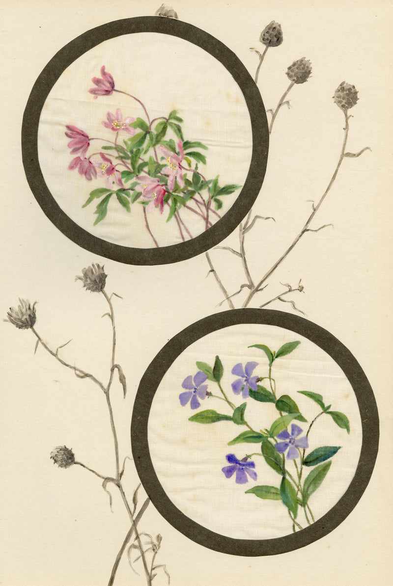 Common Centaury & Periwinkle Flower – Early C20th watercolour on linen gauze