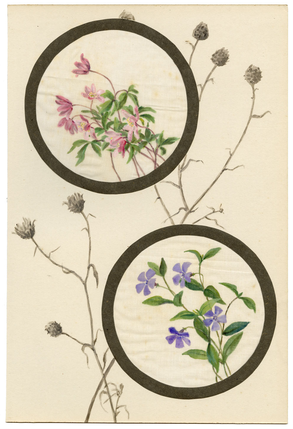 Common Centaury & Periwinkle Flower – Early C20th watercolour on linen gauze