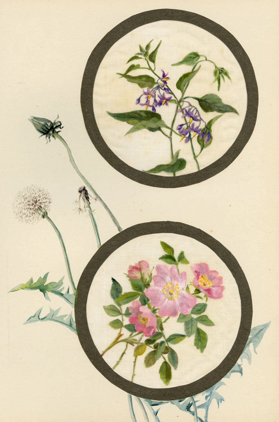 Bittersweet & Dog-rose Flower – Early 20th-century watercolour on linen gauze