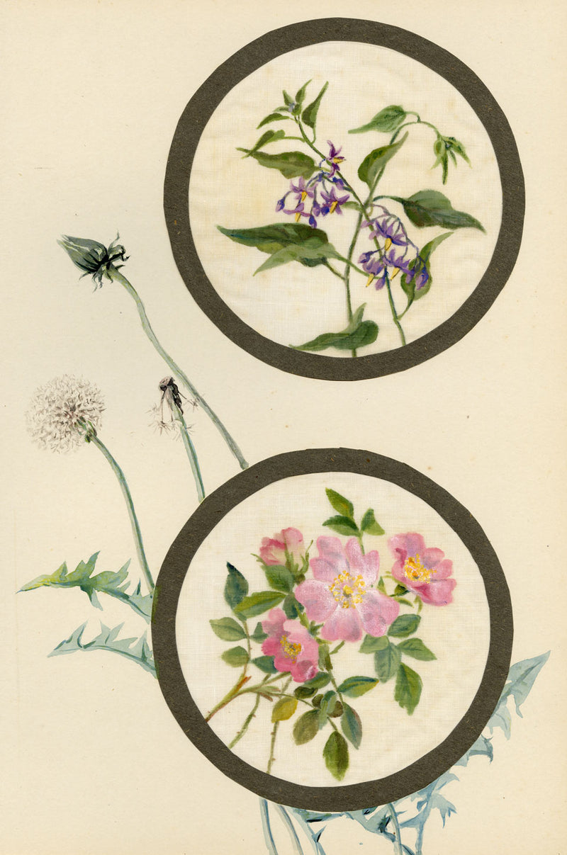 Bittersweet & Dog-rose Flower – Early 20th-century watercolour on linen gauze
