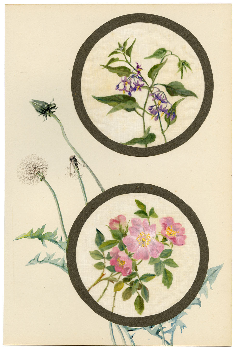 Fiore di rosa agrodolce e rosa canina – Acquerello su garza di lino di inizio XX secolo