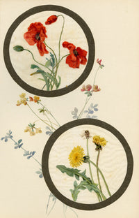 Poppy & Dandelion Flower – Early C20th watercolour painting on linen gauze