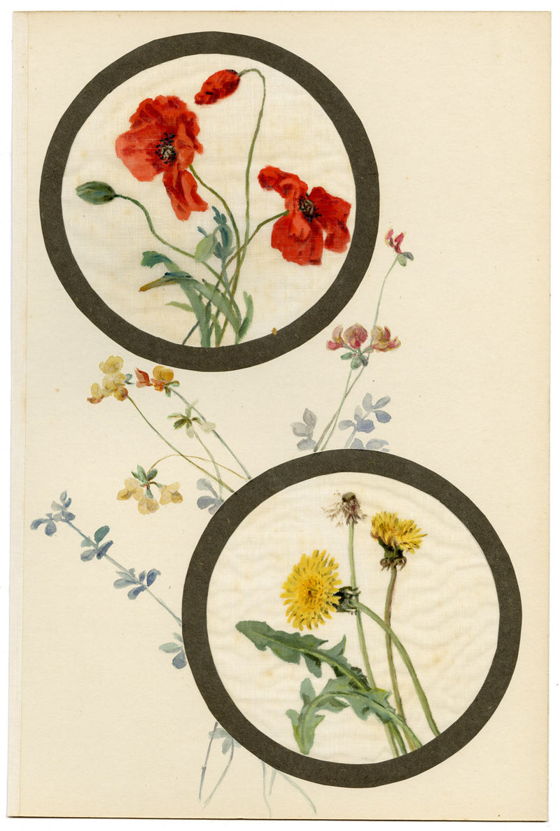Poppy & Dandelion Flower – Early C20th watercolour painting on linen gauze
