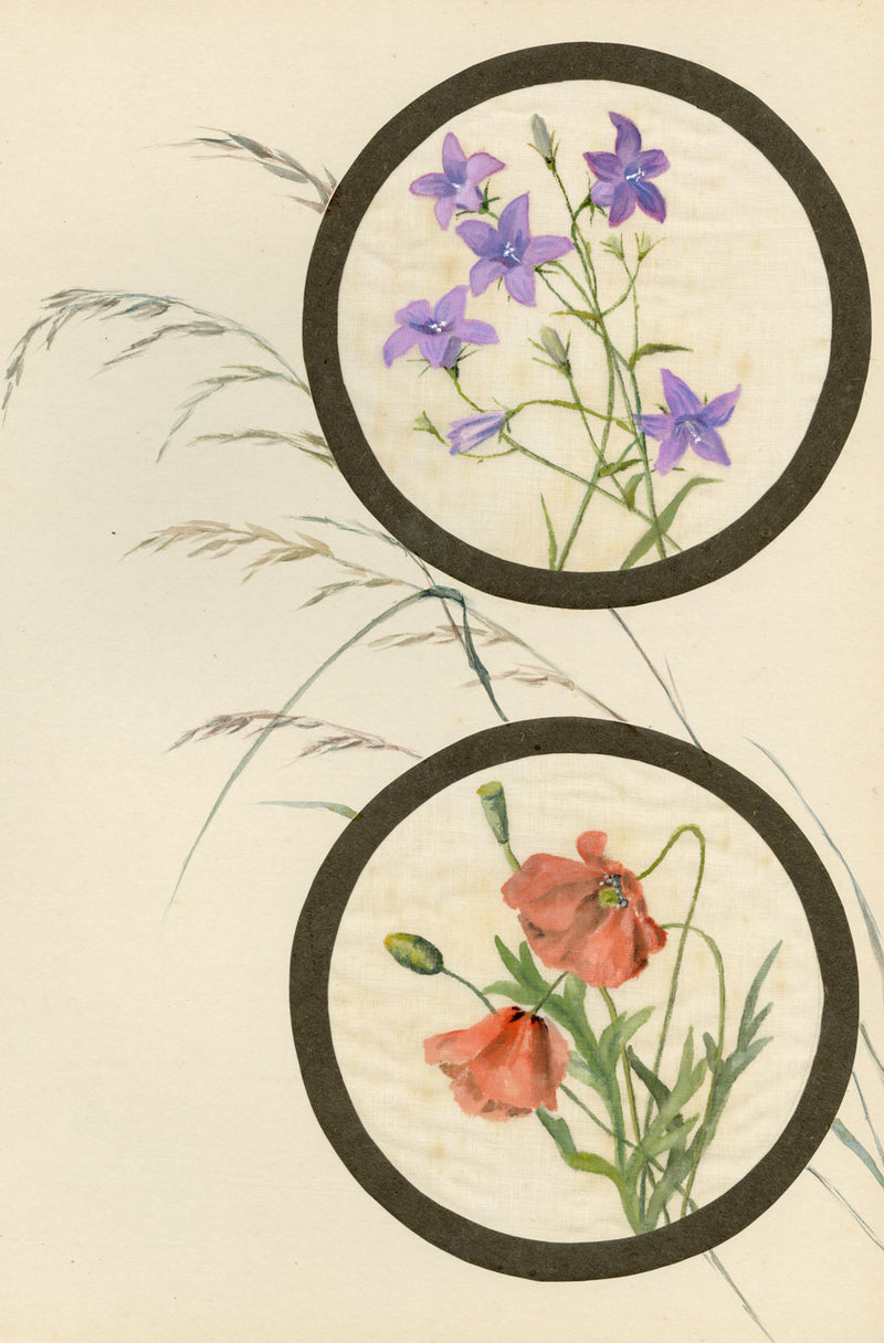 Spreading Bellflower & Poppy Flower – Early C20th watercolour on linen gauze