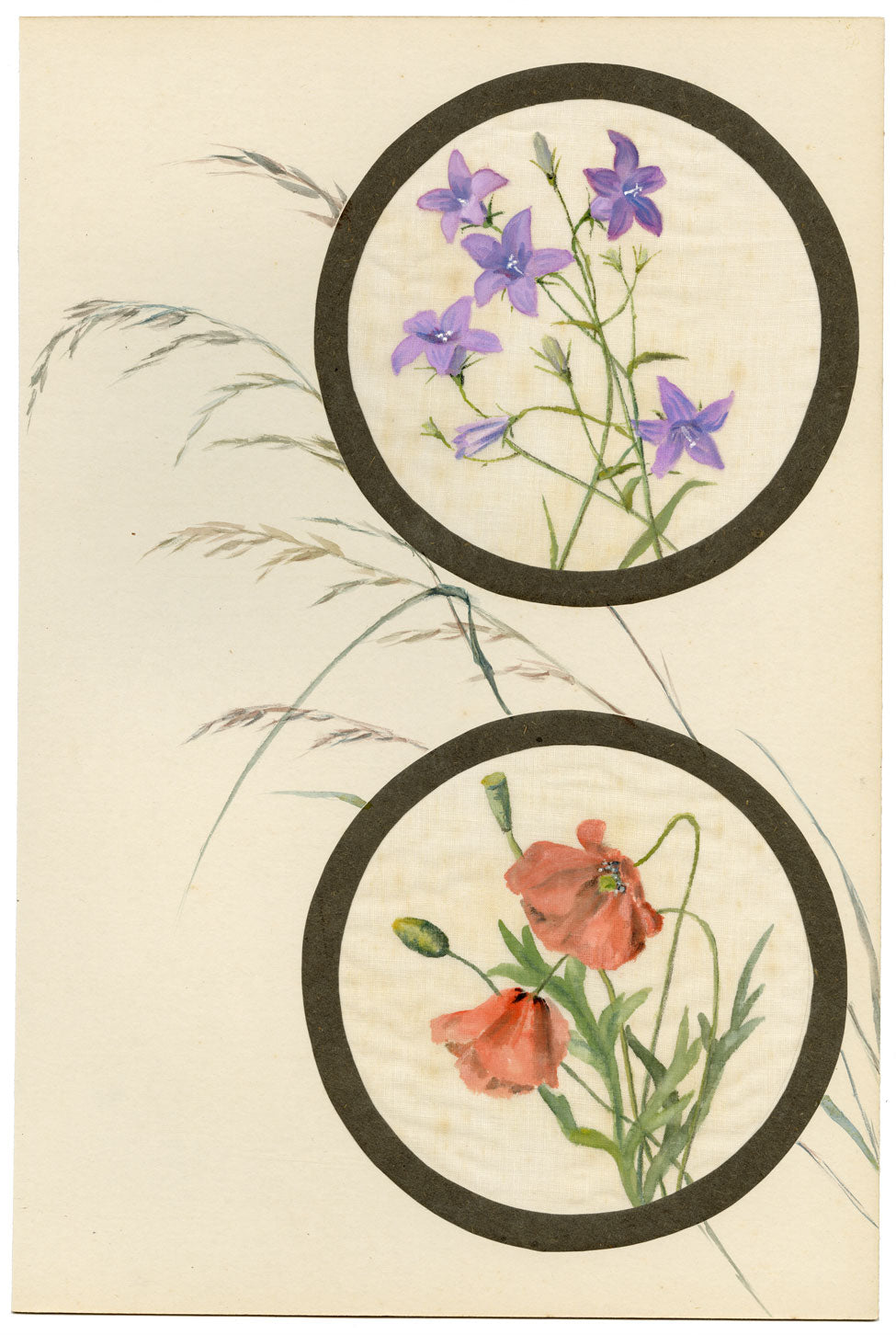 Spreading Bellflower & Poppy Flower – Early C20th watercolour on linen gauze