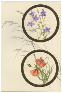 Spreading Bellflower & Poppy Flower – Early C20th watercolour on linen gauze