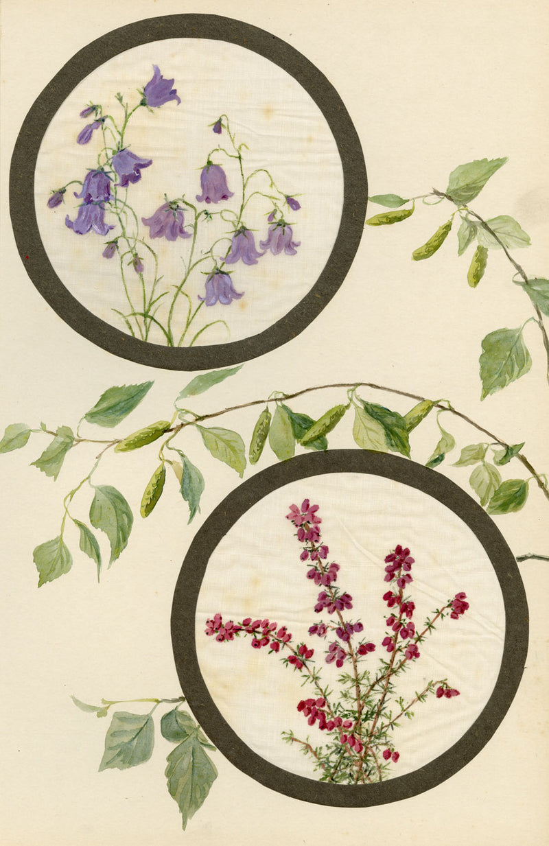 Harebell & Bell Heather Flower – Early 20th-century watercolour on linen gauze