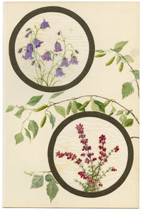 Harebell & Bell Heather Flower – Early 20th-century watercolour on linen gauze