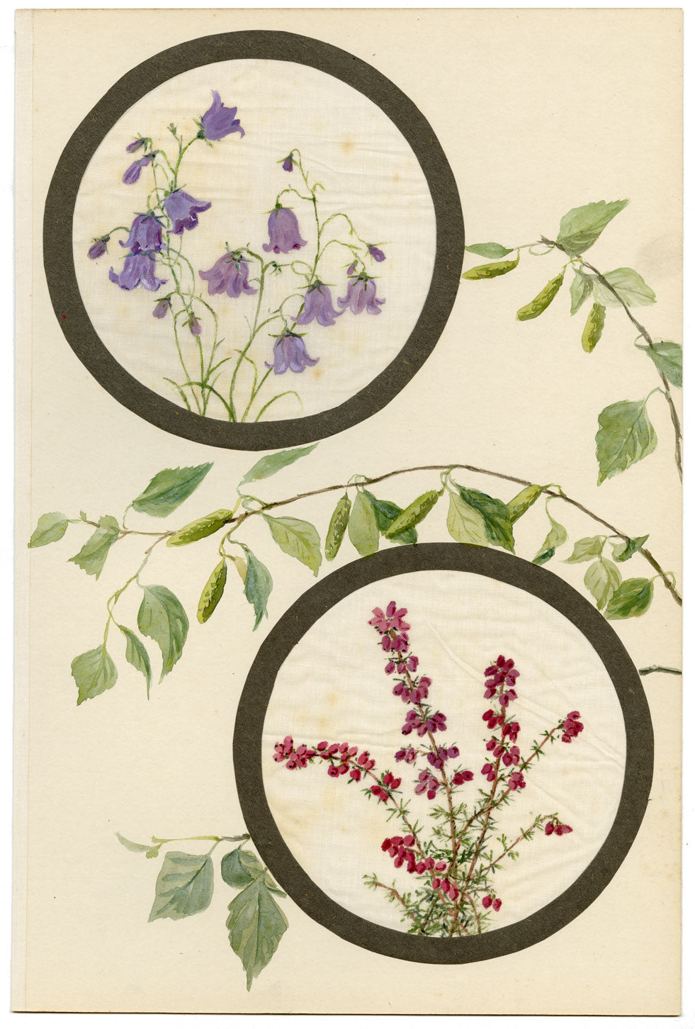 Harebell & Bell Heather Flower – Early 20th-century watercolour on linen gauze