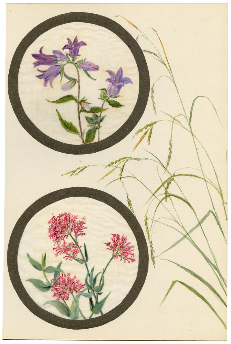 Bellflower & Red Valerian Flower – Early 20th-century watercolour on linen gauze