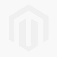 Knapweed & Tansy Flower – Early 20th-century watercolour on linen gauze