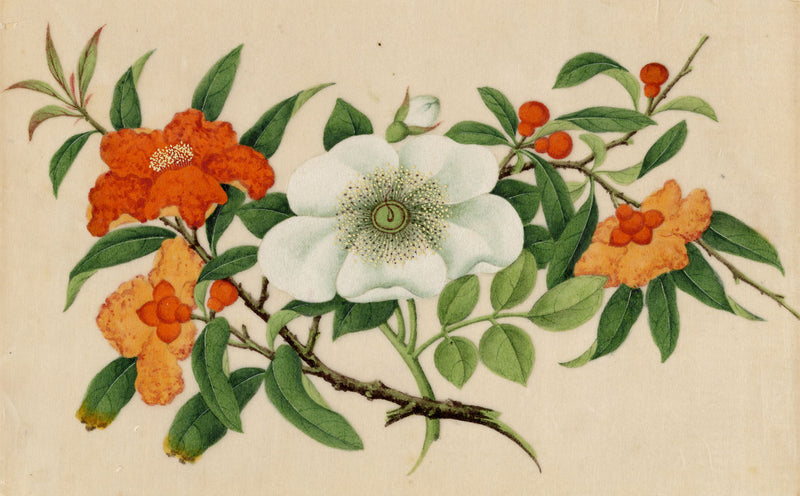 Antique 19th-century Chinese Pith Painting – Orange Pomegranate & White Camellia