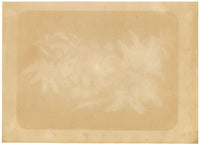 Dipinto antico cinese del XIX secolo – Melograno arancione e camelia bianca