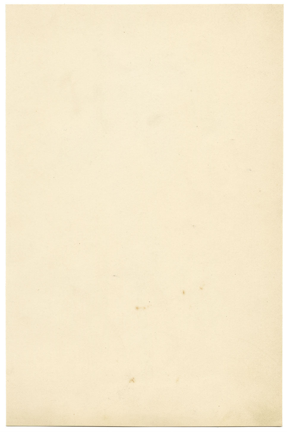 Quassia Amara Flower – Original 1830s watercolour painting