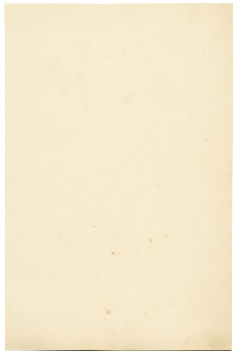 Quassia Amara Flower – Original 1830s watercolour painting