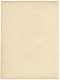 Joseph Paxton Clitoria Fulgens Flower – acquerello della metà del XIX secolo