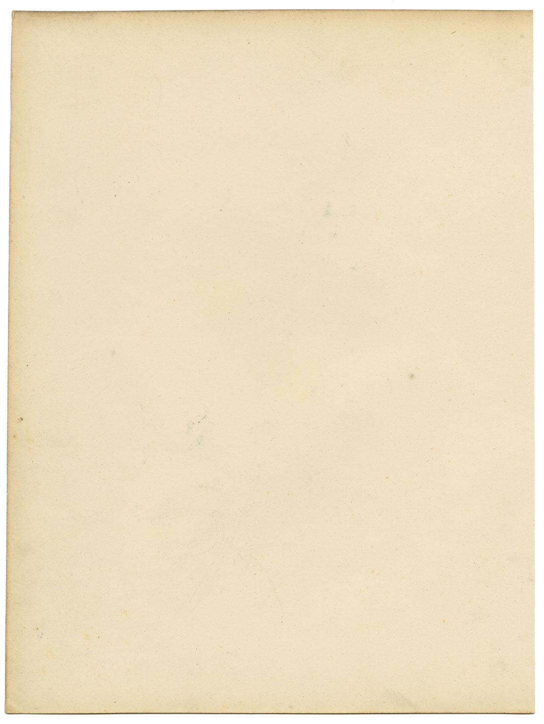 Joseph Paxton Clitoria Fulgens Flower – acquerello della metà del XIX secolo