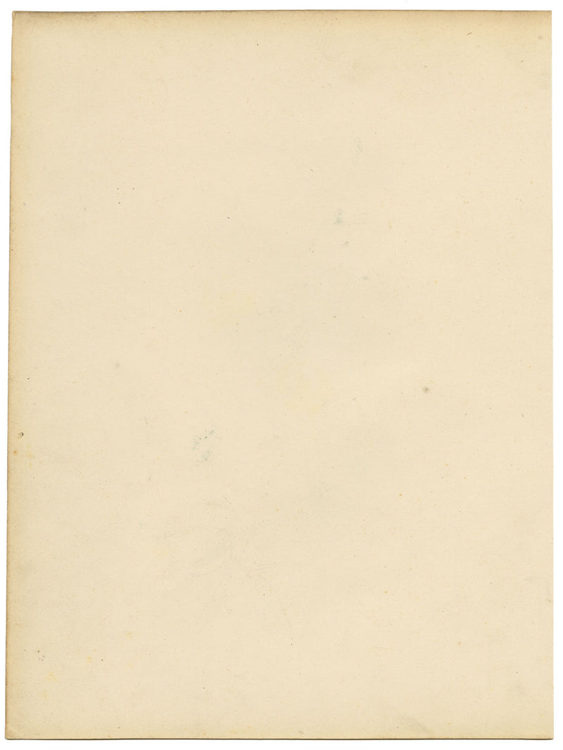 Joseph Paxton Clitoria Fulgens Flower – acquerello della metà del XIX secolo