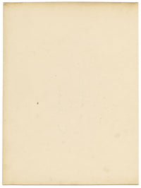 Louis van Houtte Hindsia Violacea Flower – mid-19th-century watercolour painting