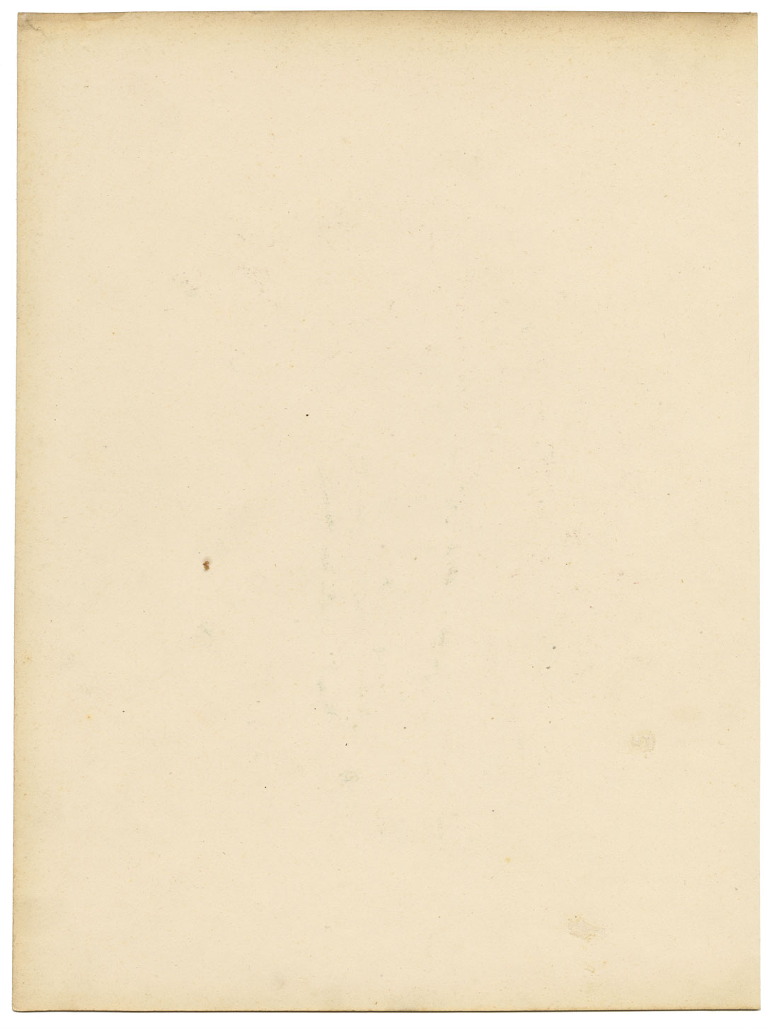 Louis van Houtte Hindsia Violacea Flower – mid-19th-century watercolour painting