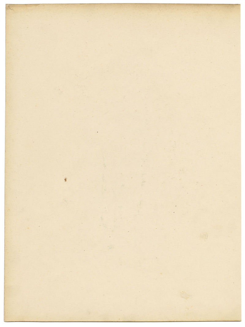 Louis van Houtte Hindsia Violacea Flower – mid-19th-century watercolour painting